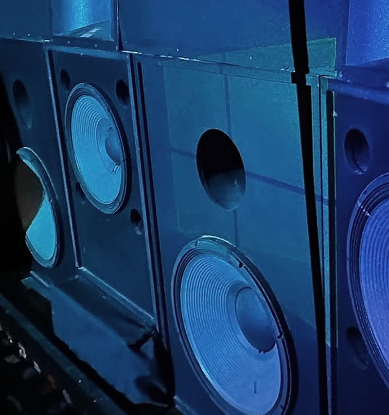 Enceintes de cinéma professionnelles de la salle existante de Steven, avec woofers et pavillons